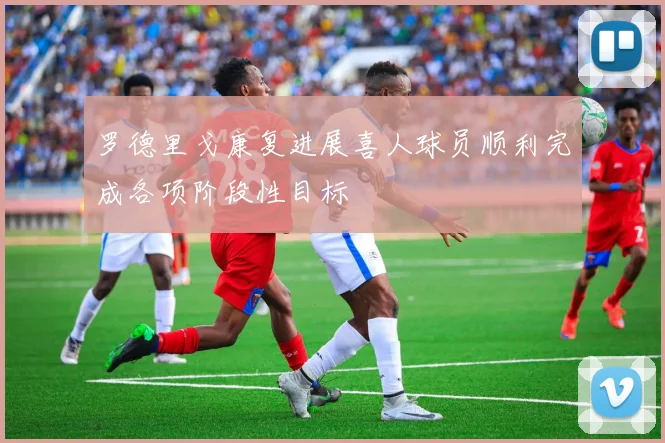 罗德里戈康复进展喜人球员顺利完成各项阶段性目标