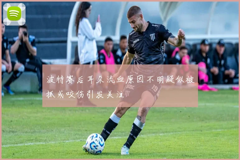 波特赛后耳朵流血原因不明疑似被抓或咬伤引发关注